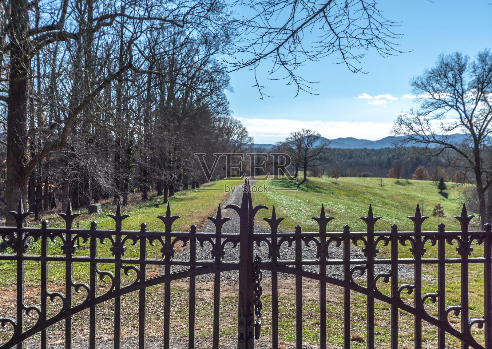 美丽的自然公园与铁门在阳光明媚的日子照片摄影图片