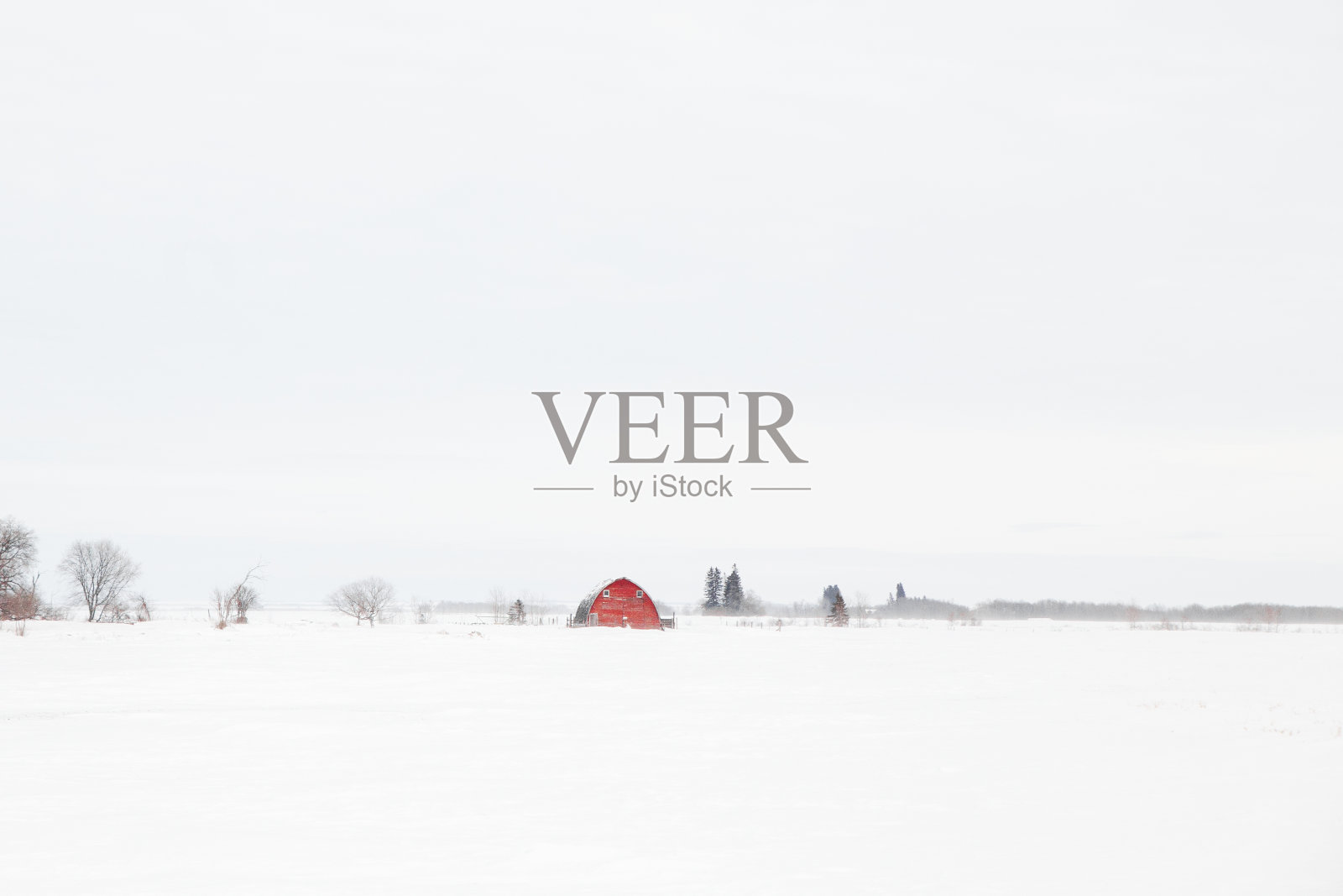 冬天白色的风景中有一座红色的旧谷仓照片摄影图片