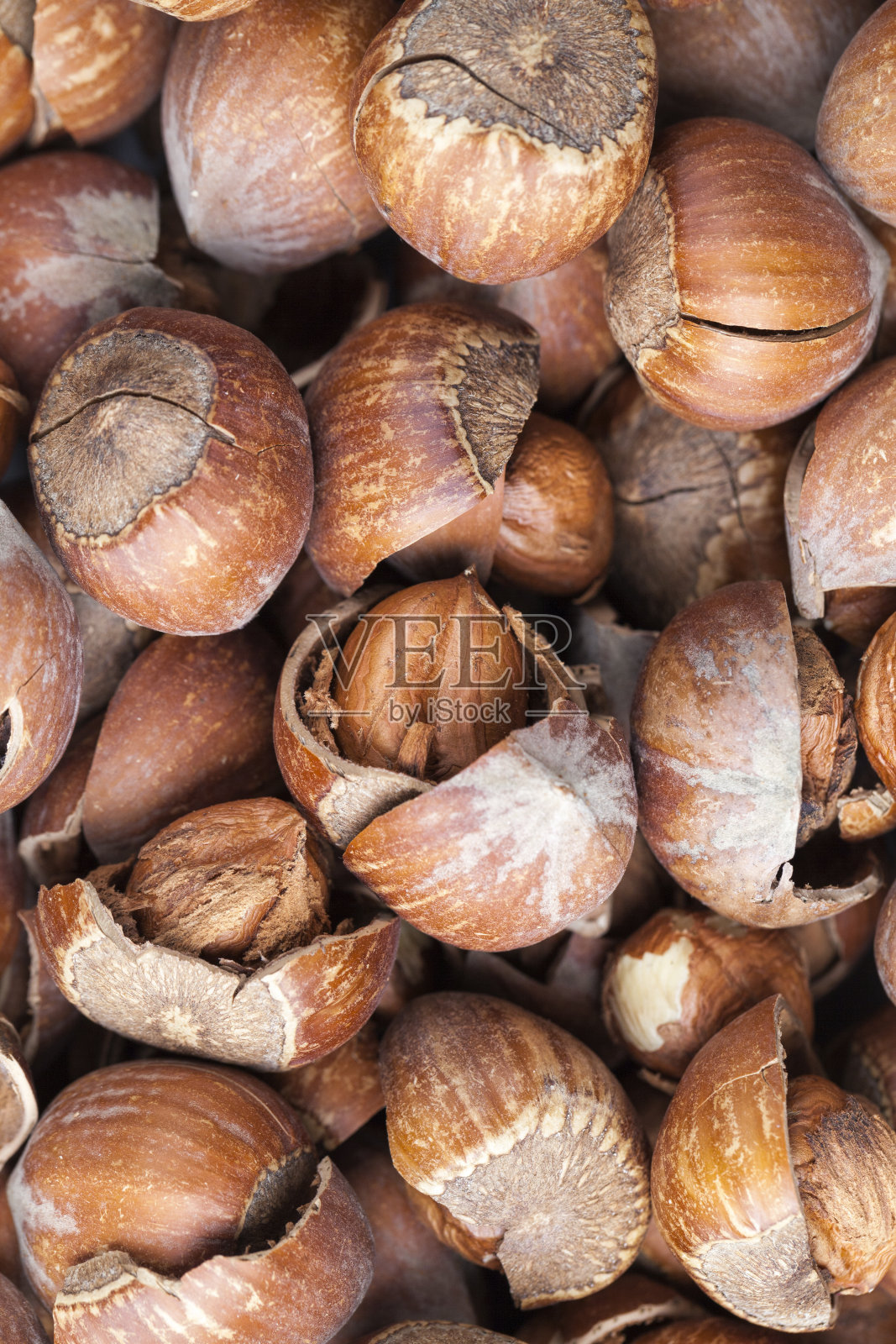 去壳的榛子照片摄影图片
