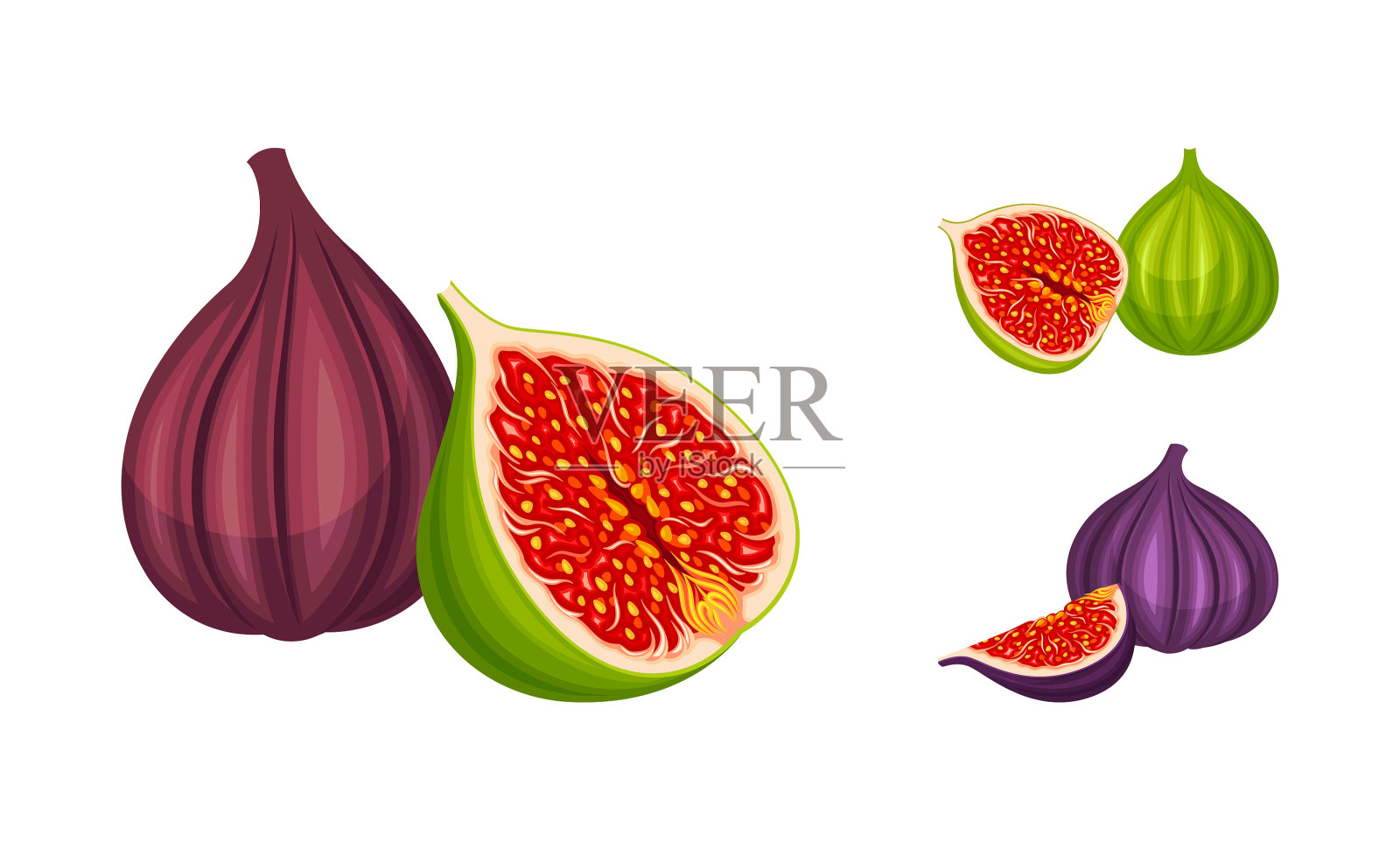 新鲜的绿色和紫色无花果果集美味插画图片素材