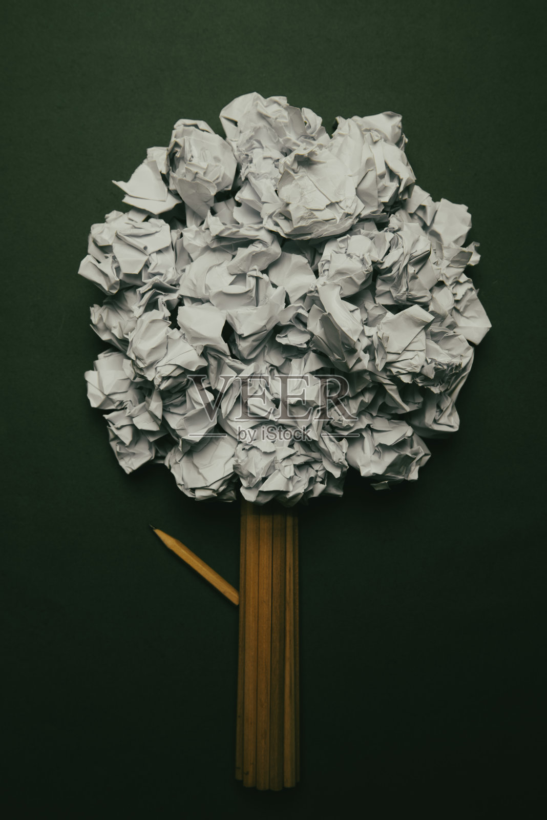 想法树照片摄影图片