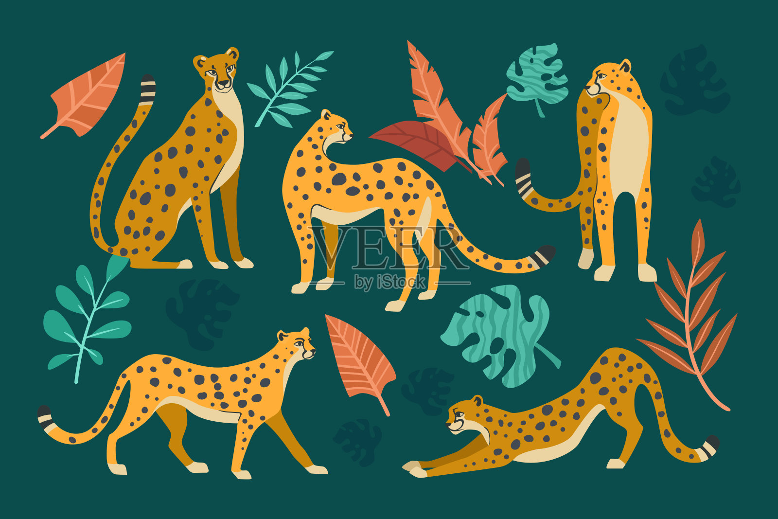 猎豹在不同的姿势卡通插图集插画图片素材