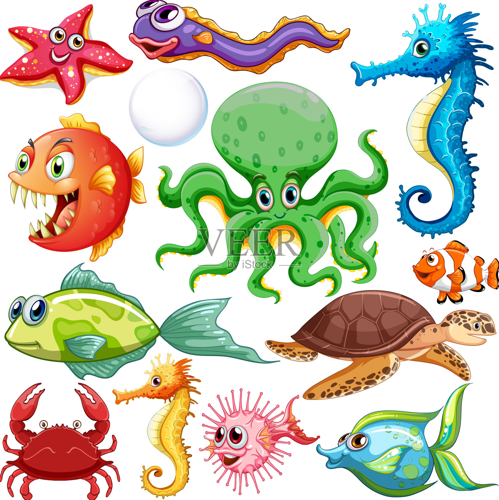 不同种类的海洋动物设计元素图片