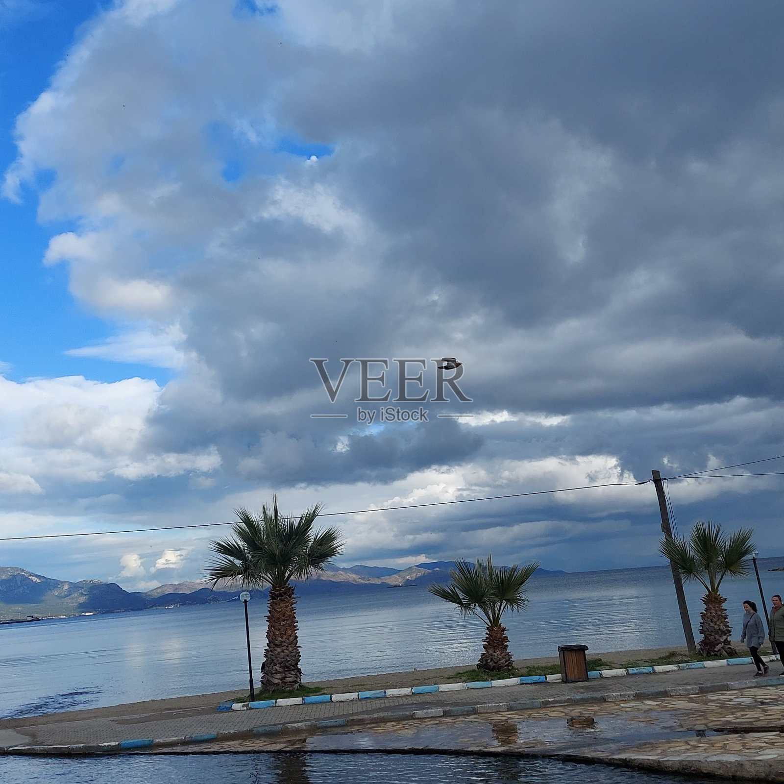 令人惊叹的景观云海棕榈树照片摄影图片