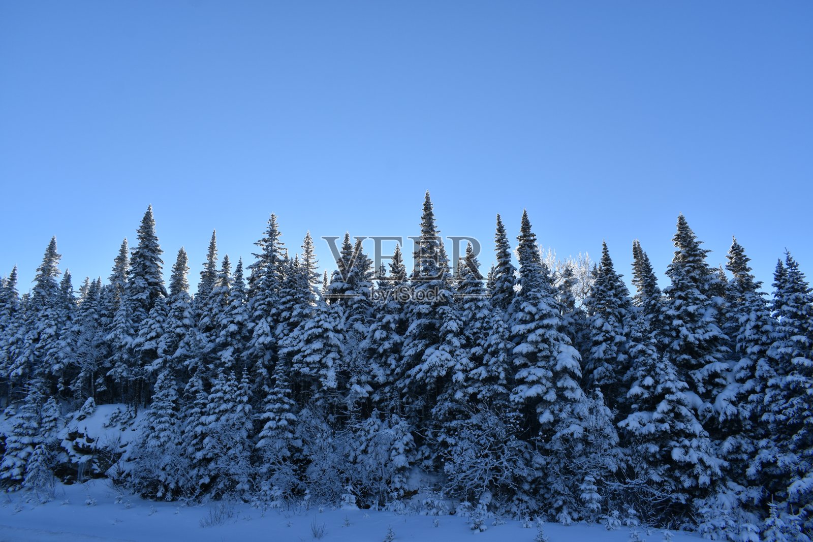 蓝天照片摄影图片