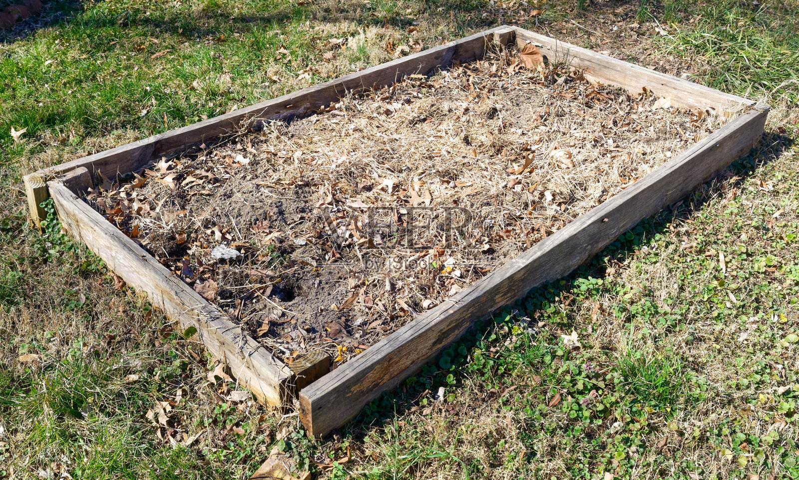 休耕提高床花园照片摄影图片