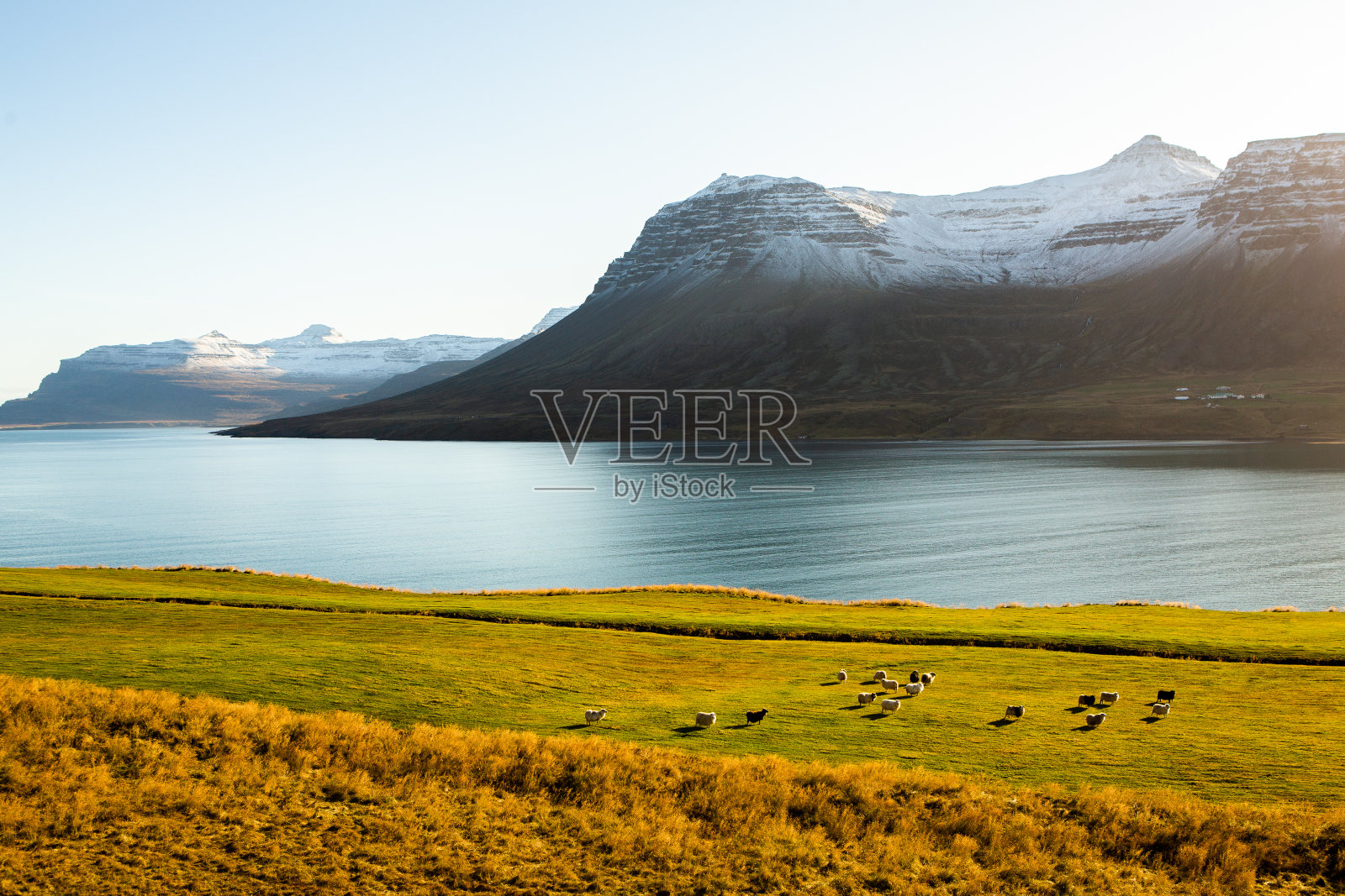 美丽的冰岛风景。照片摄影图片