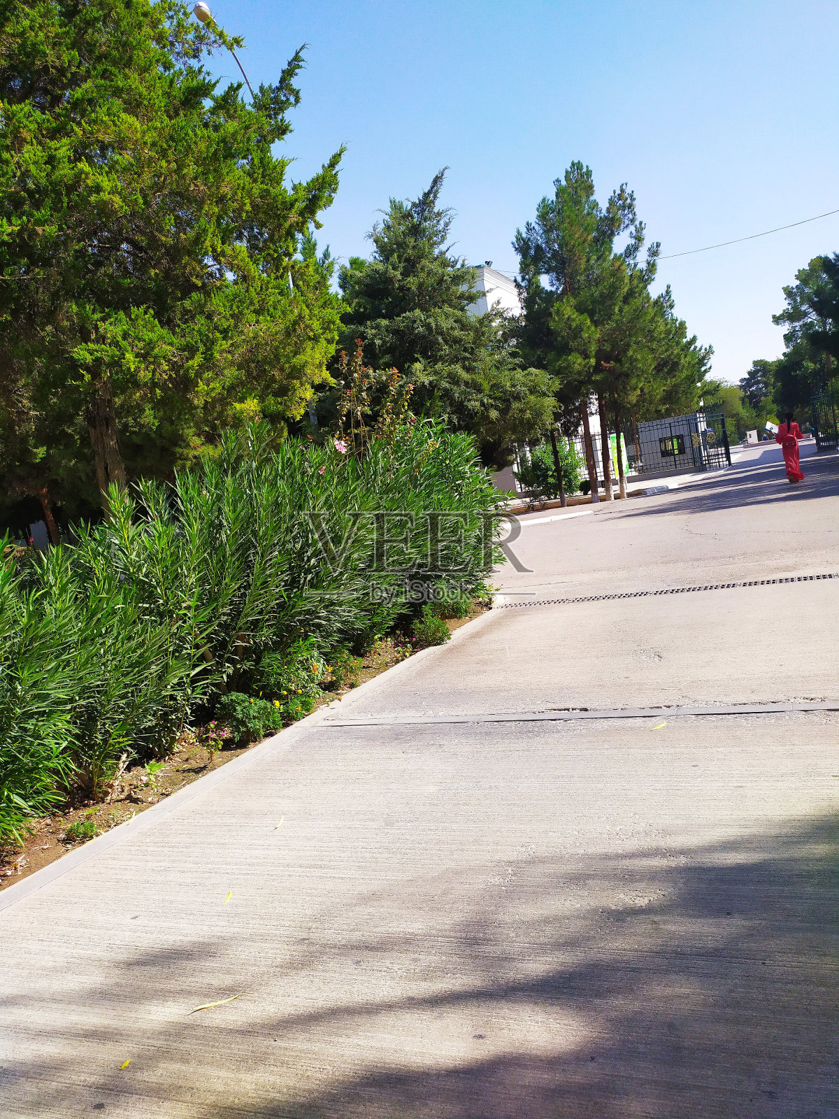 公园照片摄影图片