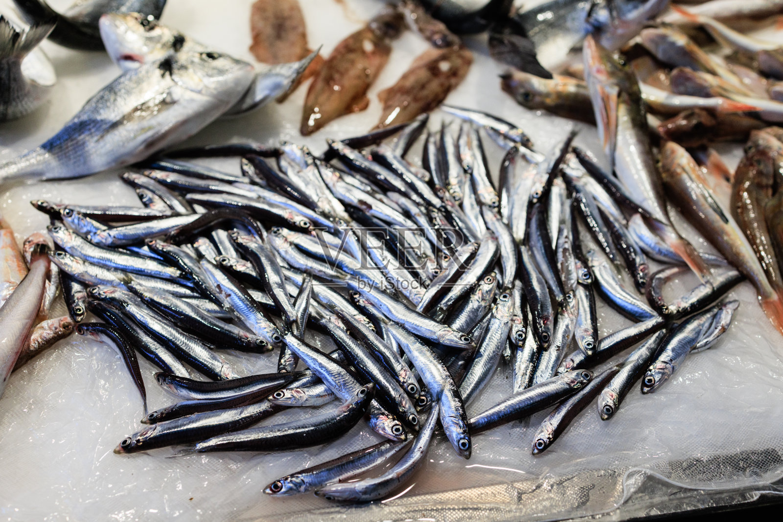 意大利西西里岛鱼市场货架上的新鲜鱼、海鲜、牡蛎、虾和对虾照片摄影图片