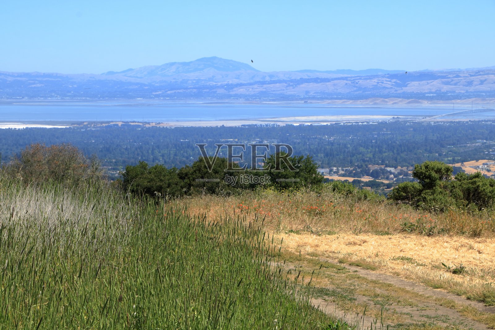 风山徒步旅行路线俯瞰旧金山湾海岸线和Portola山谷，加利福尼亚照片摄影图片