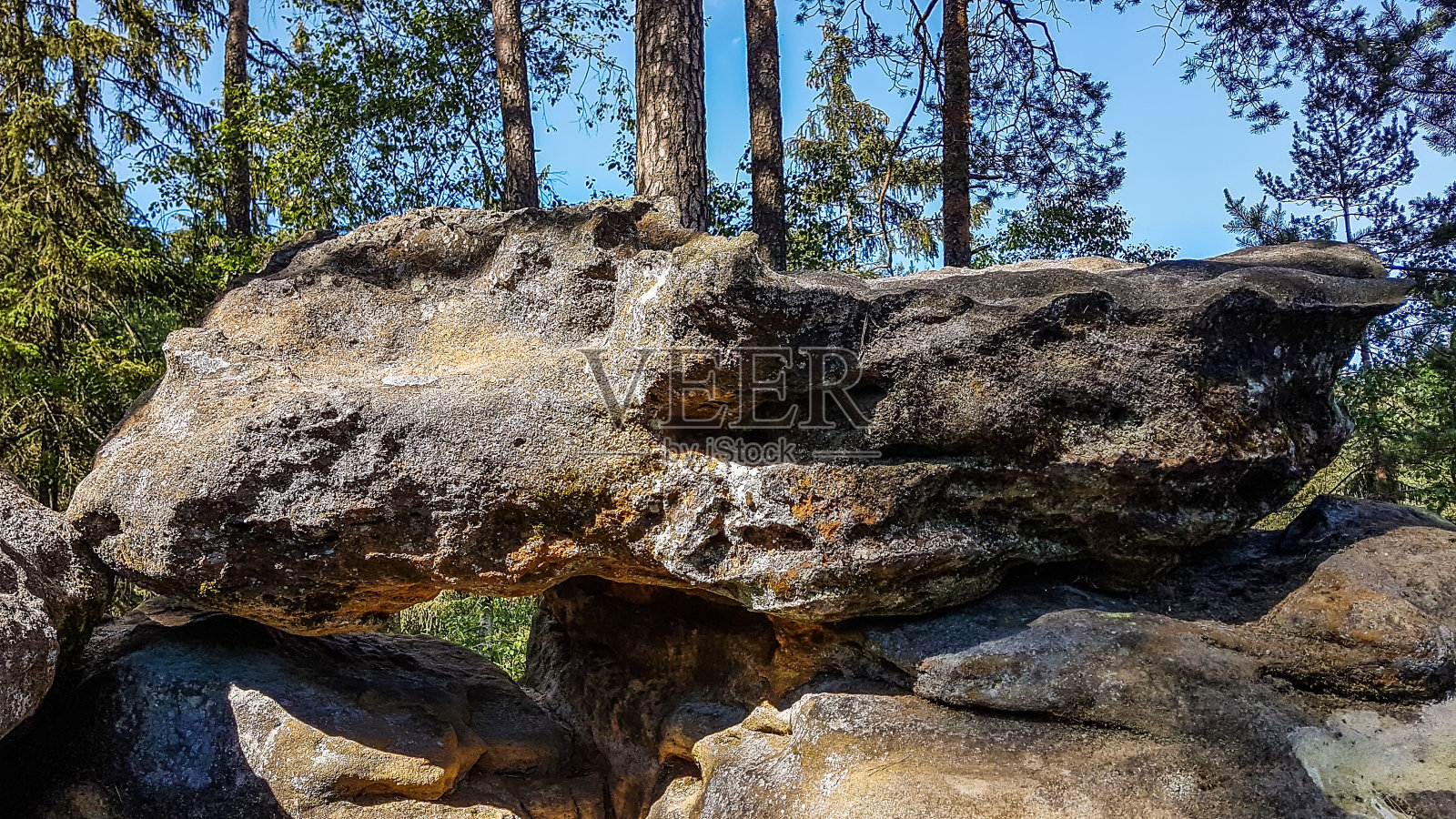 在阳光下，萨克森森林小径上被腐蚀的砂岩卵石照片摄影图片