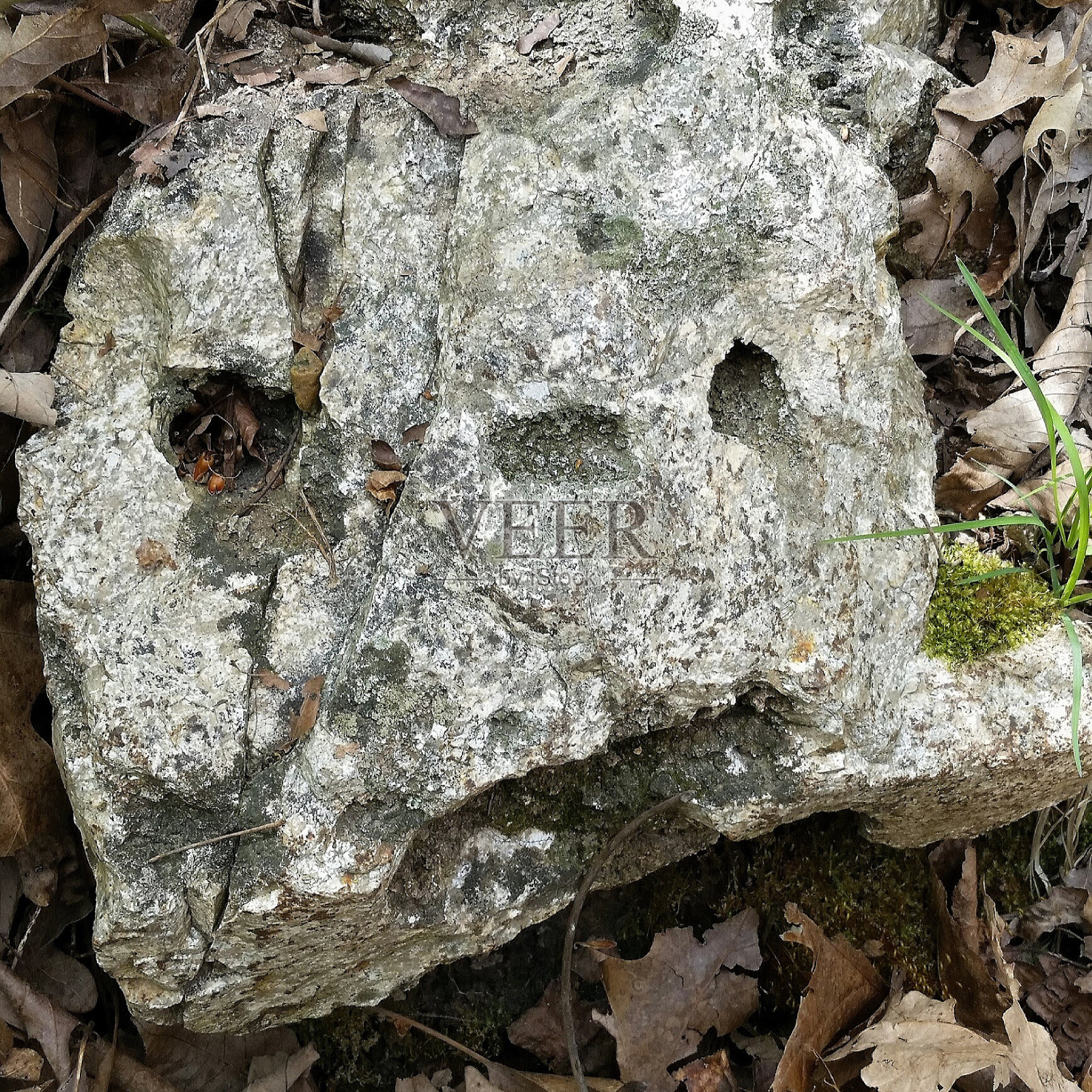 脸在石头上照片摄影图片