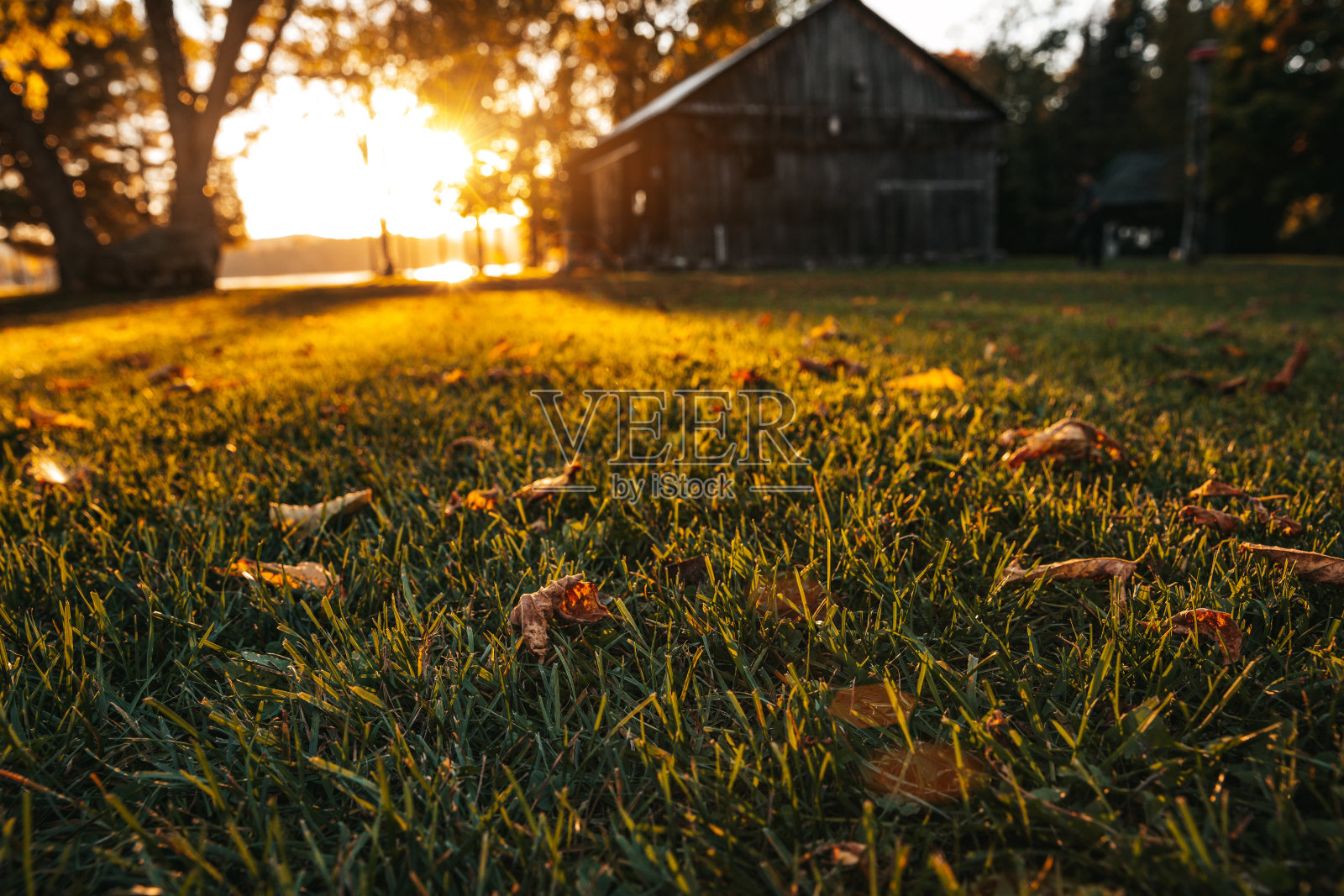 美丽的夏日日落在加拿大的一个湖边照片摄影图片