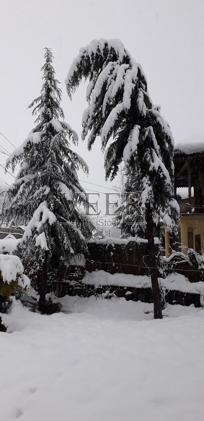 雪照片摄影图片