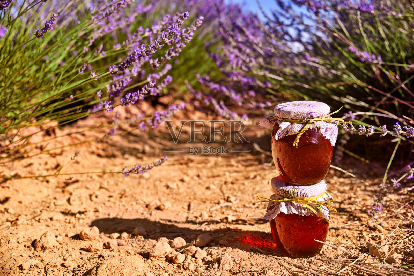 西班牙,Briuhega: 07.04.2020;薰衣草地里的新鲜蜂蜜照片摄影图片