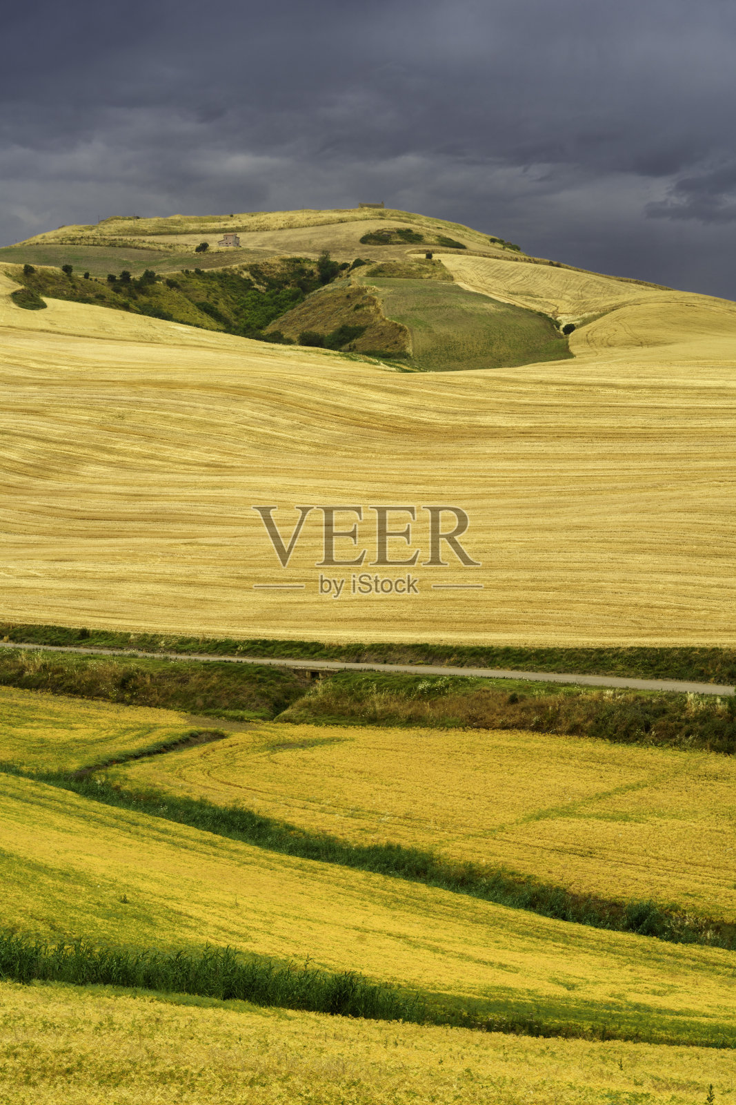 意大利巴利利卡塔的夏日乡村风光照片摄影图片