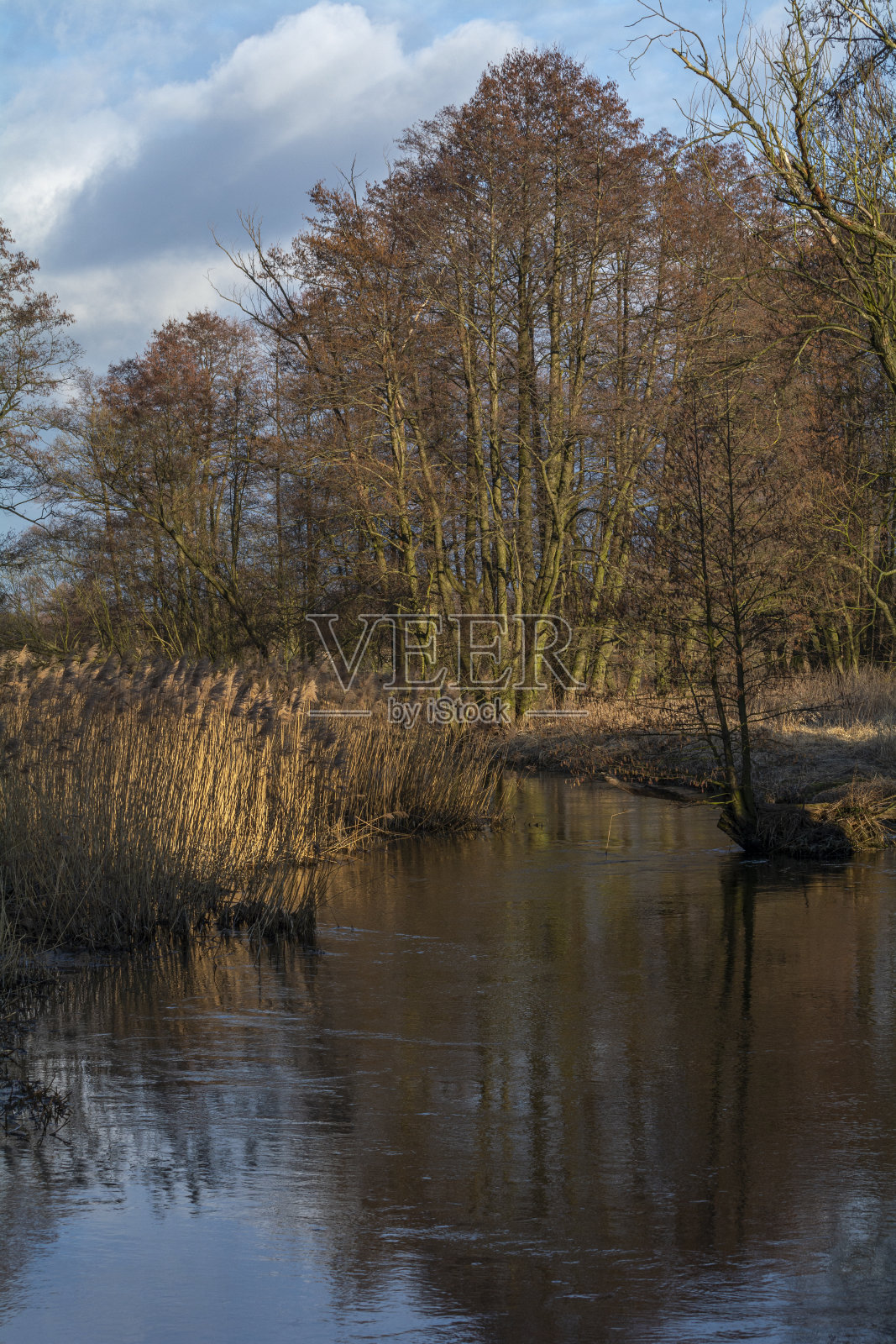 波兰中部一条小河上的早春。照片摄影图片