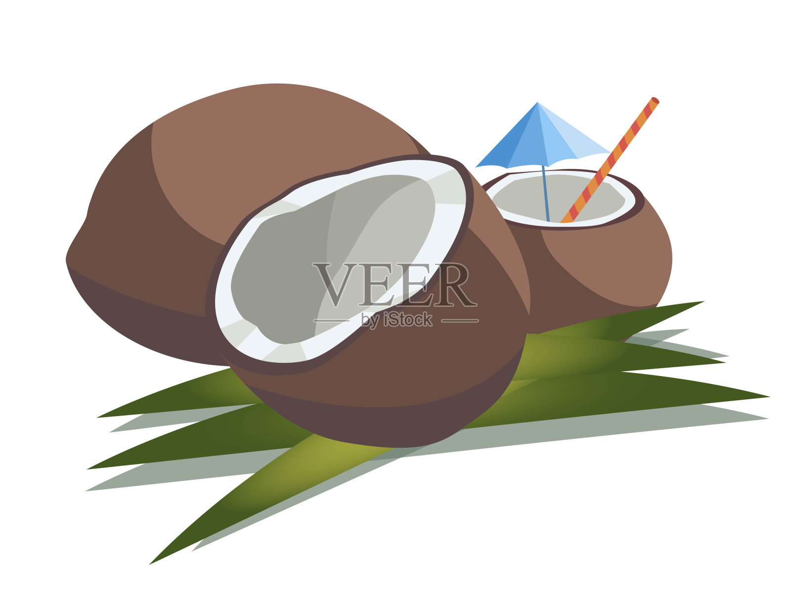 矢量插图的三个椰子:整个，减半和切碎的稻草和雨伞插画图片素材