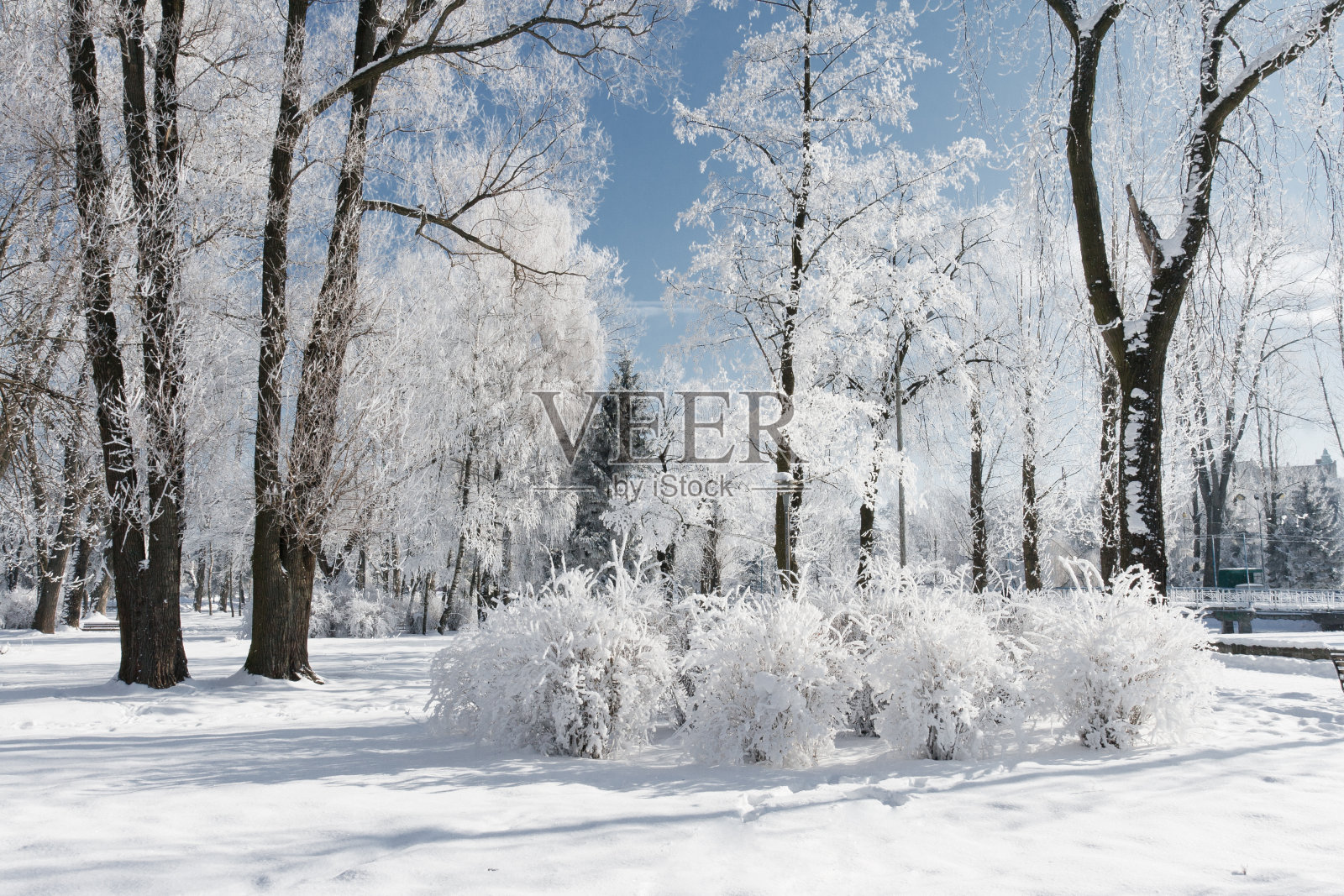 冬天照片摄影图片