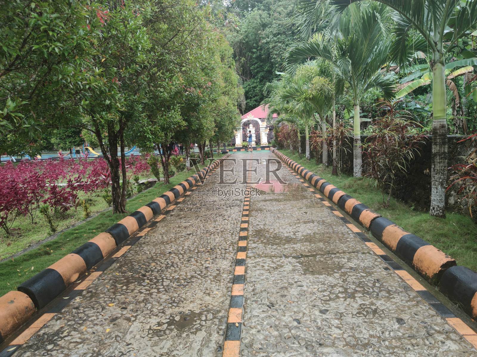 公园路照片摄影图片