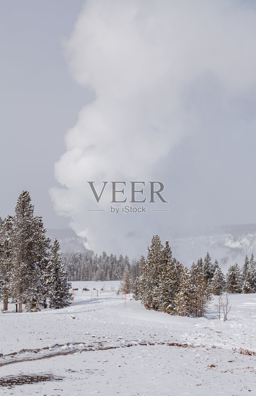 黄石国家公园冬季景观照片摄影图片