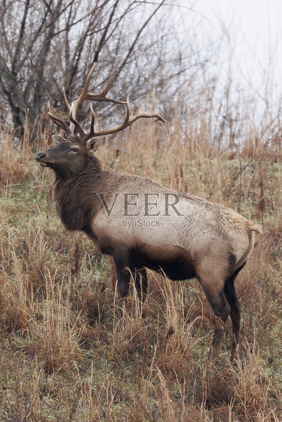 每照片摄影图片