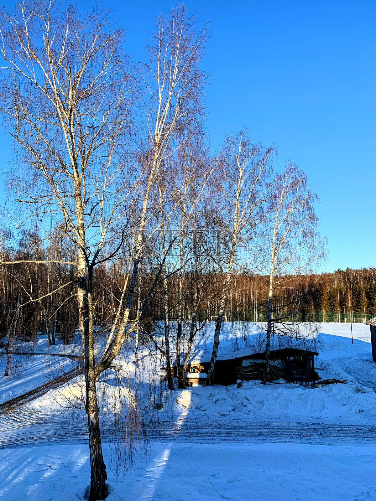 逝去的冬天的美丽照片摄影图片