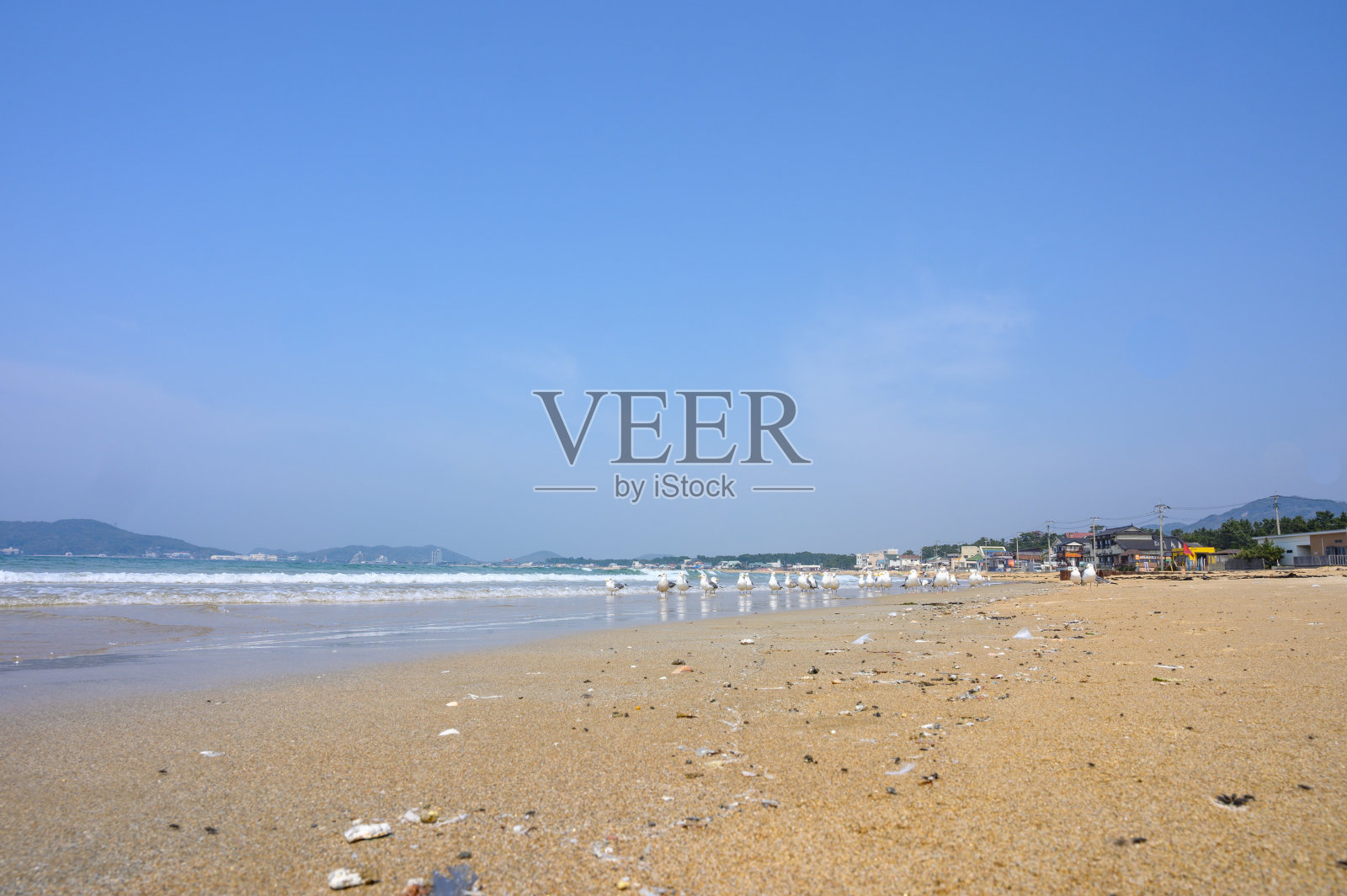 蓝天沙滩，碧海海鸥照片摄影图片