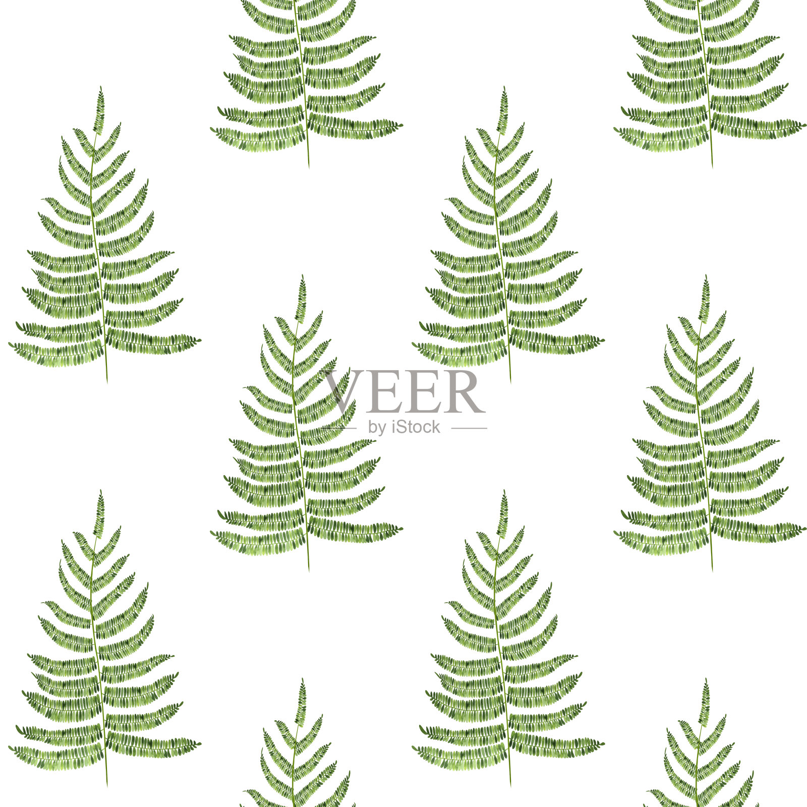 蕨枝无缝水彩图案。手绘植物插图。在孤立的背景上有蕨叶的无尽纹理。绿叶墙纸。印刷在织物和包装纸上。插画图片素材