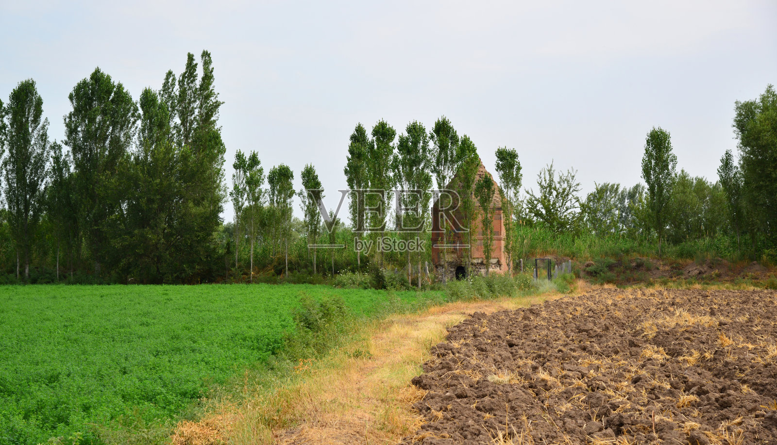 我是优素福照片摄影图片