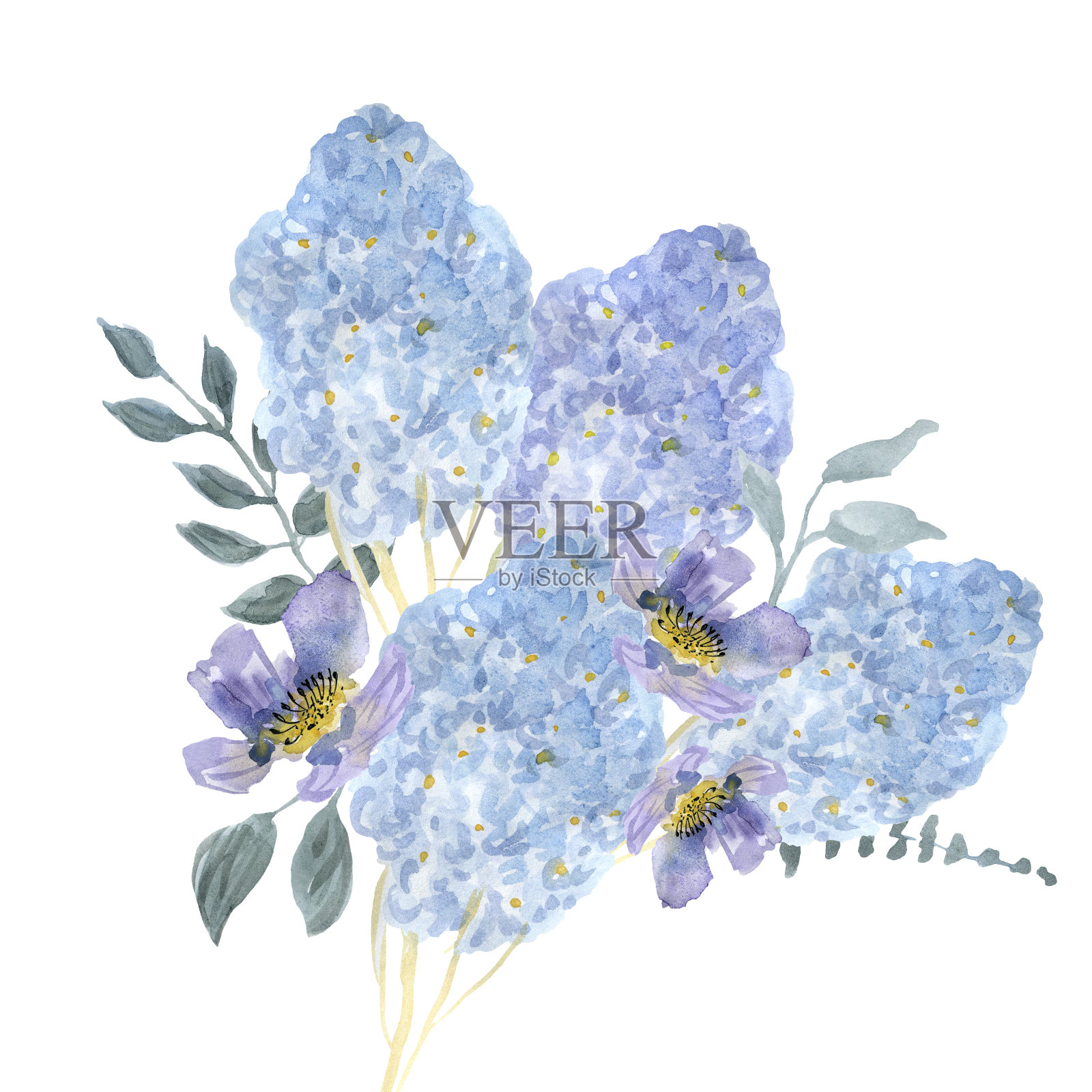 束淡紫色。浅蓝色的花朵插画图片素材