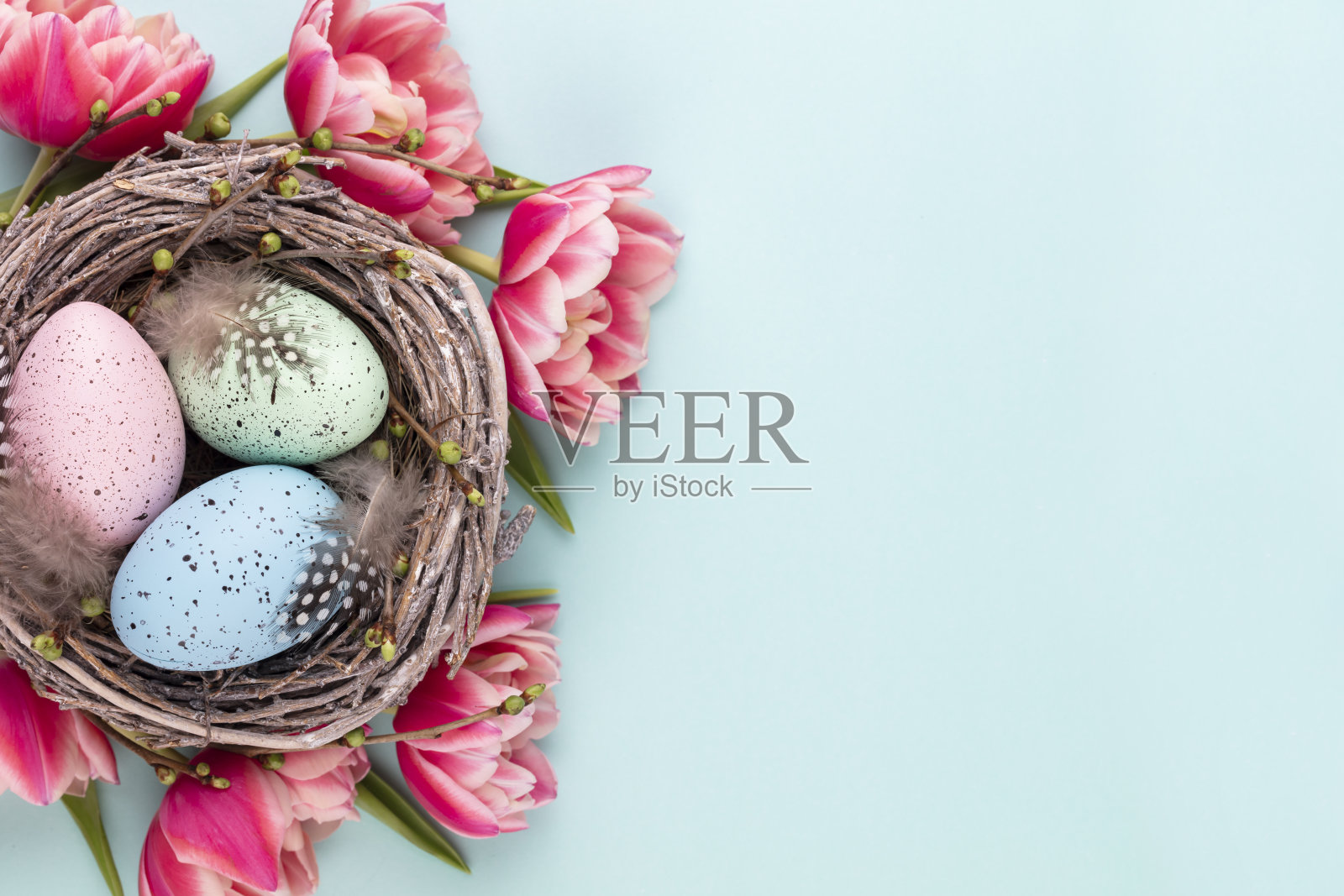 春天的贺卡。复活节彩蛋在巢里。春天花郁金香。照片摄影图片