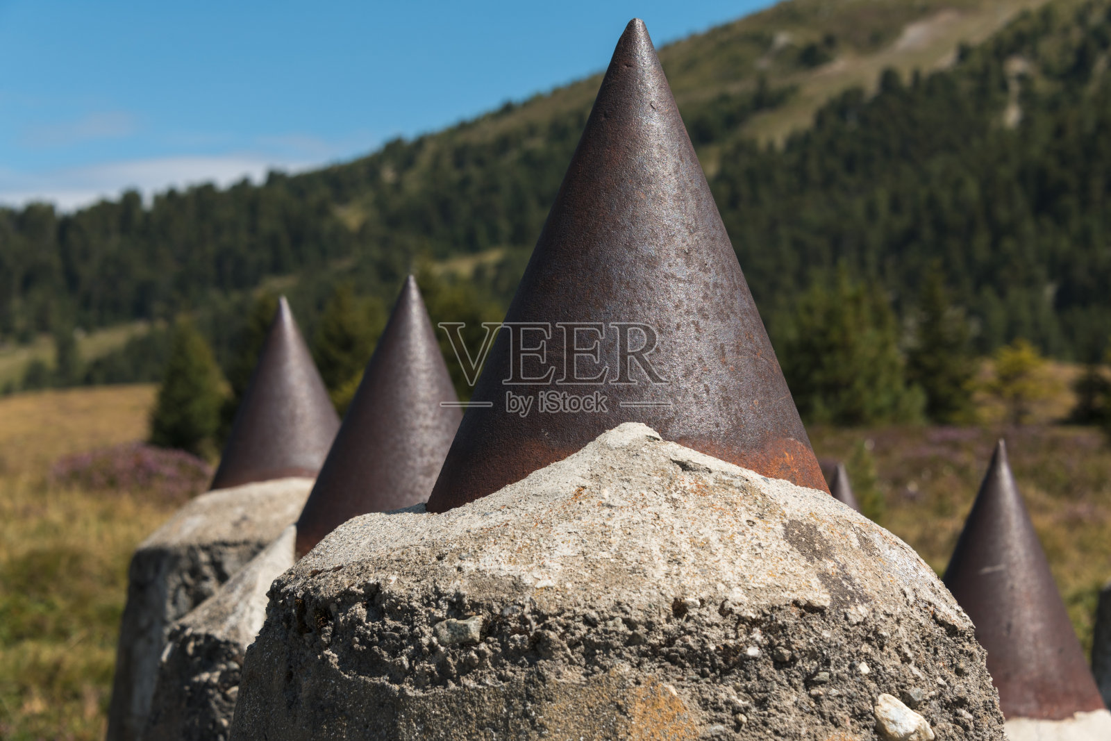 Plamort特写部分罐屏障paso resia照片摄影图片