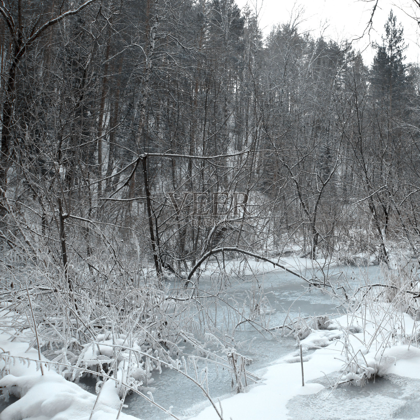 积雪盖顶的山脉。冬天的观点。洛基山脉。严厉的美。西伯利亚的自然风光。冰冻瀑布。照片摄影图片
