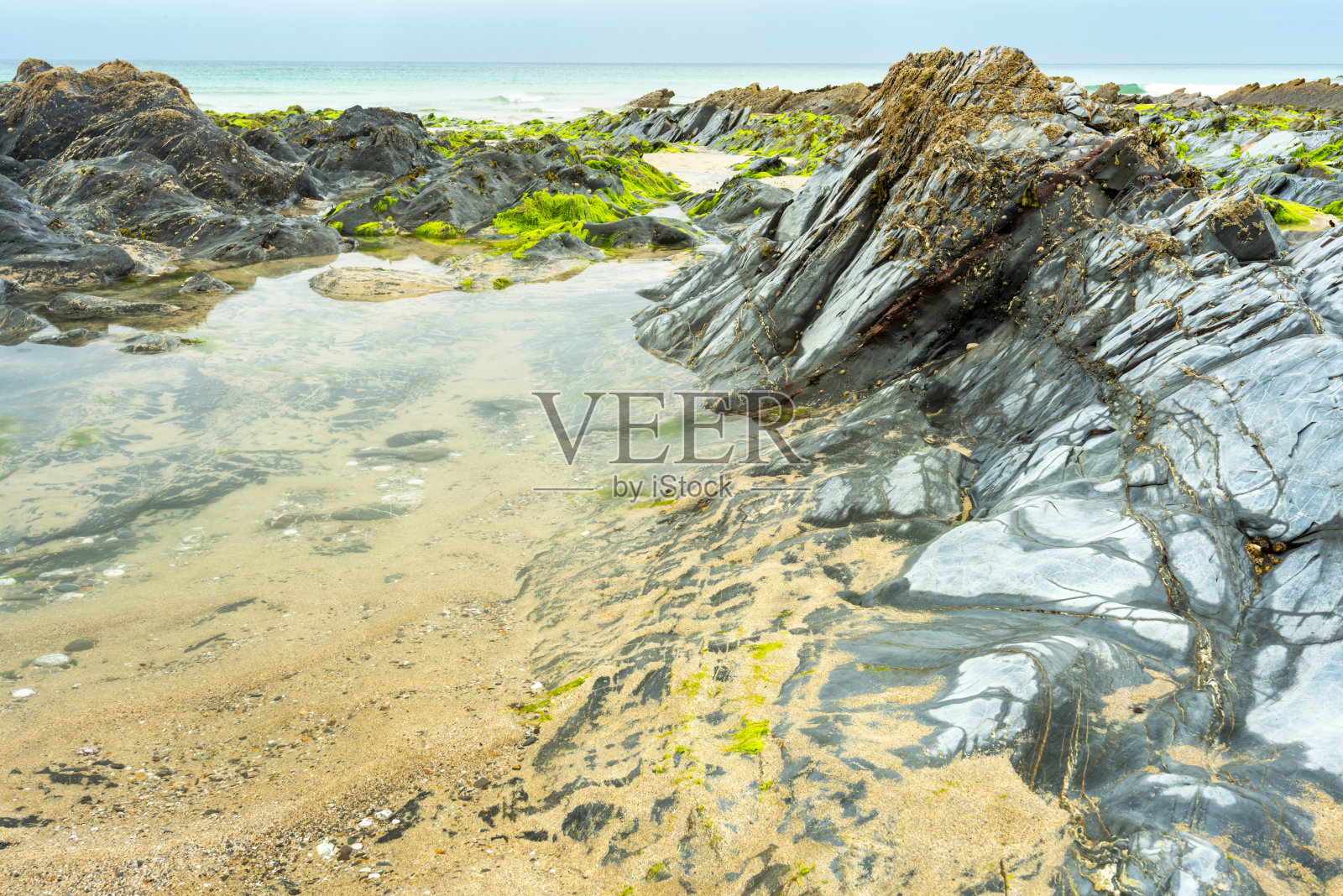 潮汐岩池被光滑的岩石和海藻包围，美元湾，冈瓦洛，赫斯顿，康沃尔，英格兰，英国。照片摄影图片