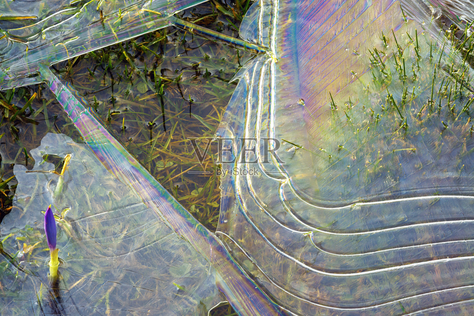 冰冻水坑中冰的质地和形状照片摄影图片