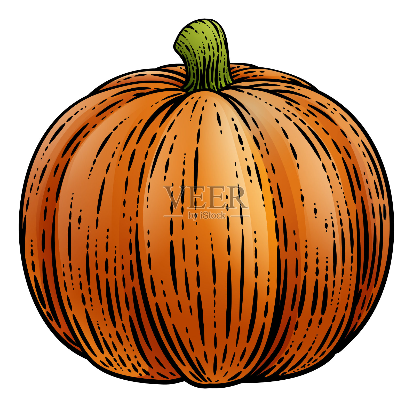 南瓜蔬菜复古木刻插画插画图片素材