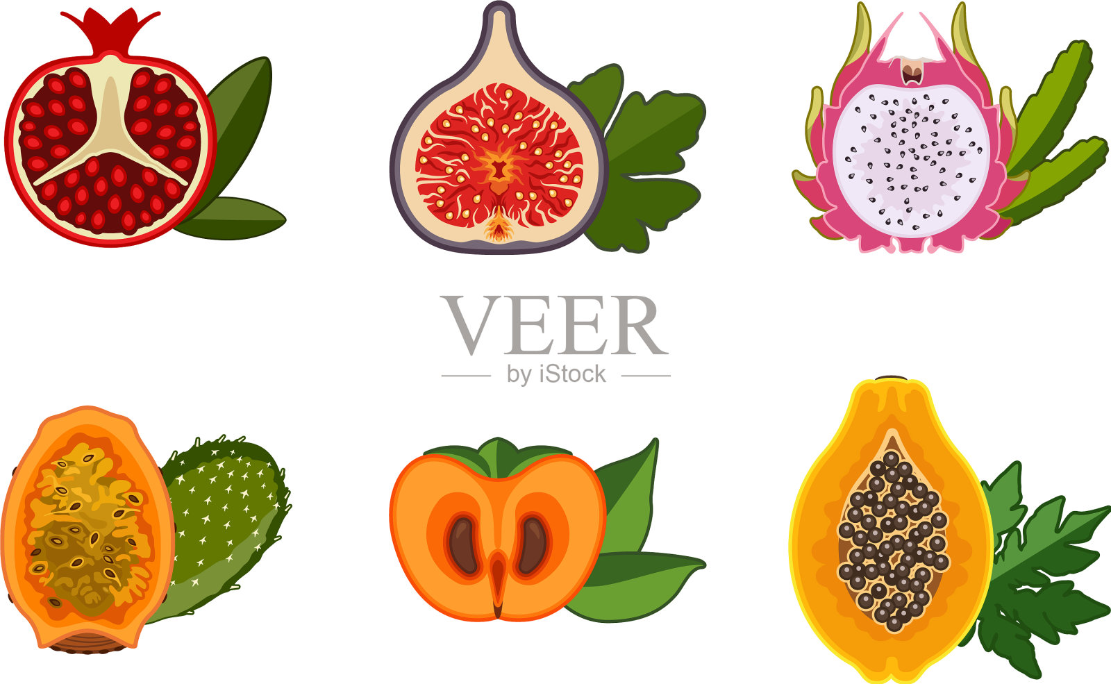 减半异国情调的水果插画图片素材