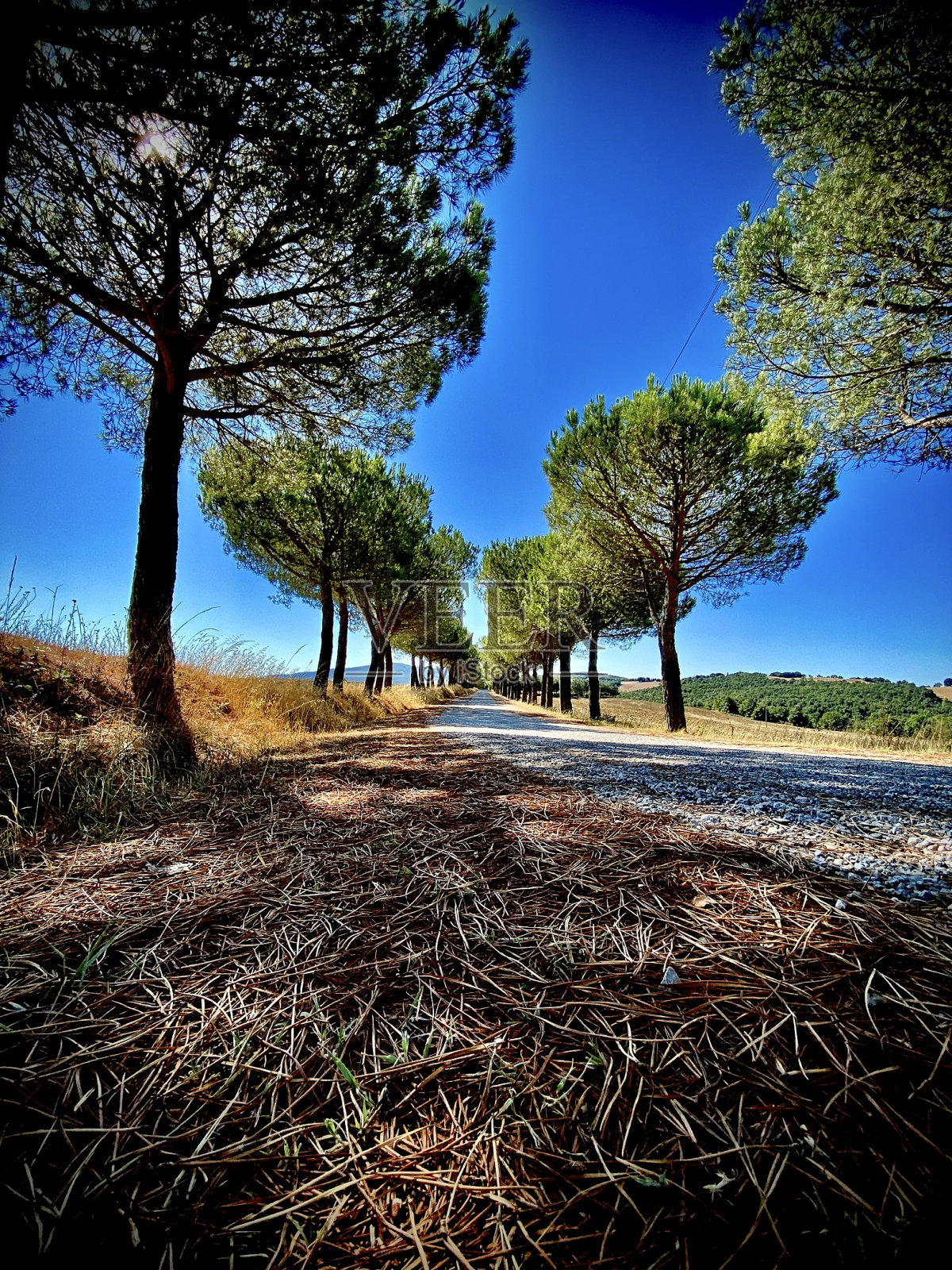 传统的意大利林荫车道与递减的视角-向下低个人视角pov照片摄影图片