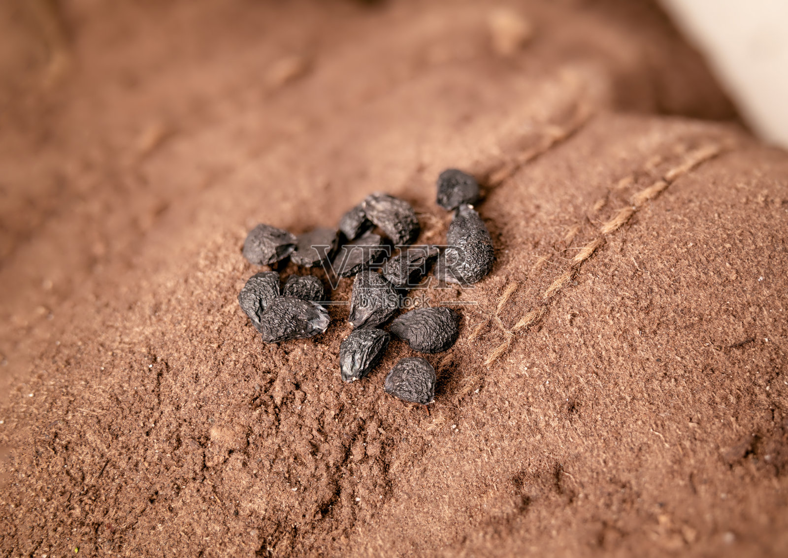 许多韭菜籽手上戴着脏棕色的园艺手套，合上。照片摄影图片