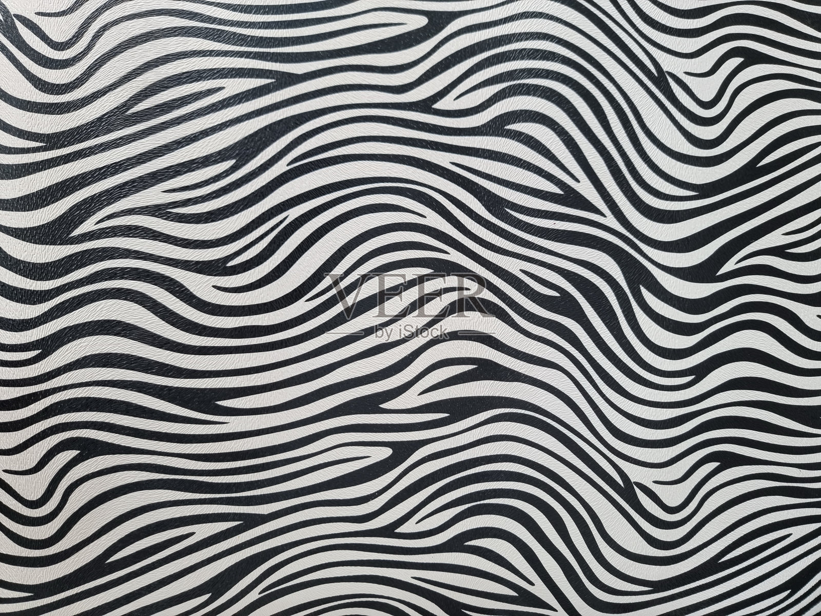 斑马纺织品黑白背景墙纸图案。照片摄影图片