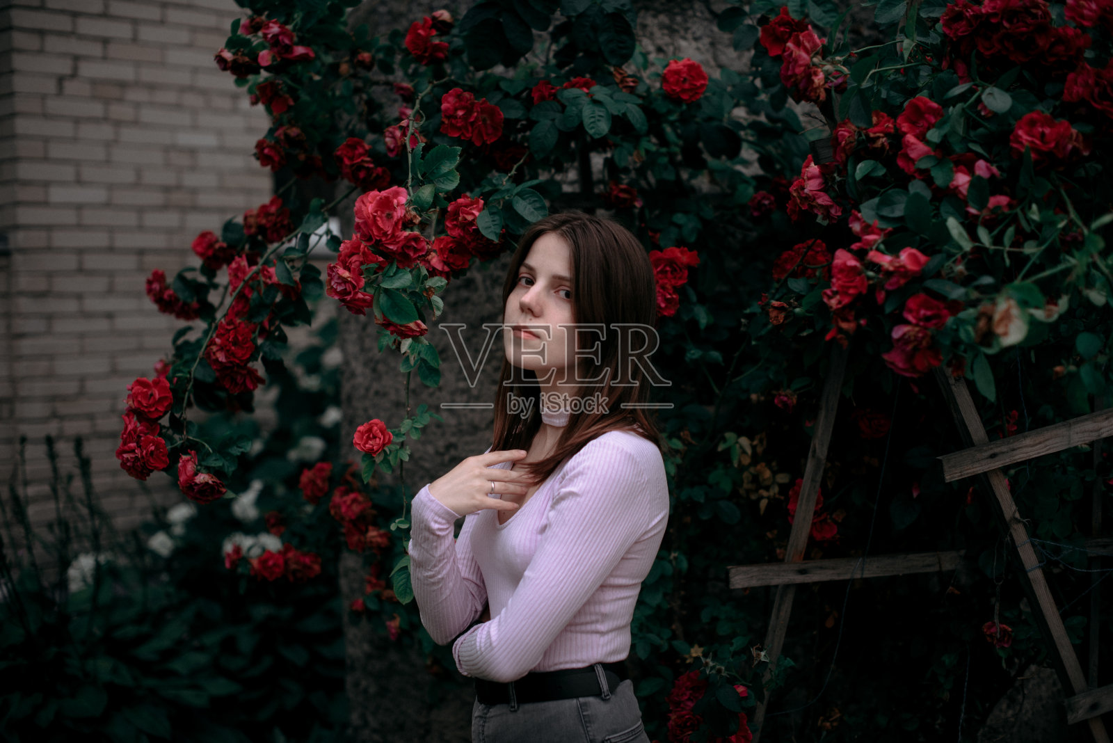 女孩玫瑰照片摄影图片