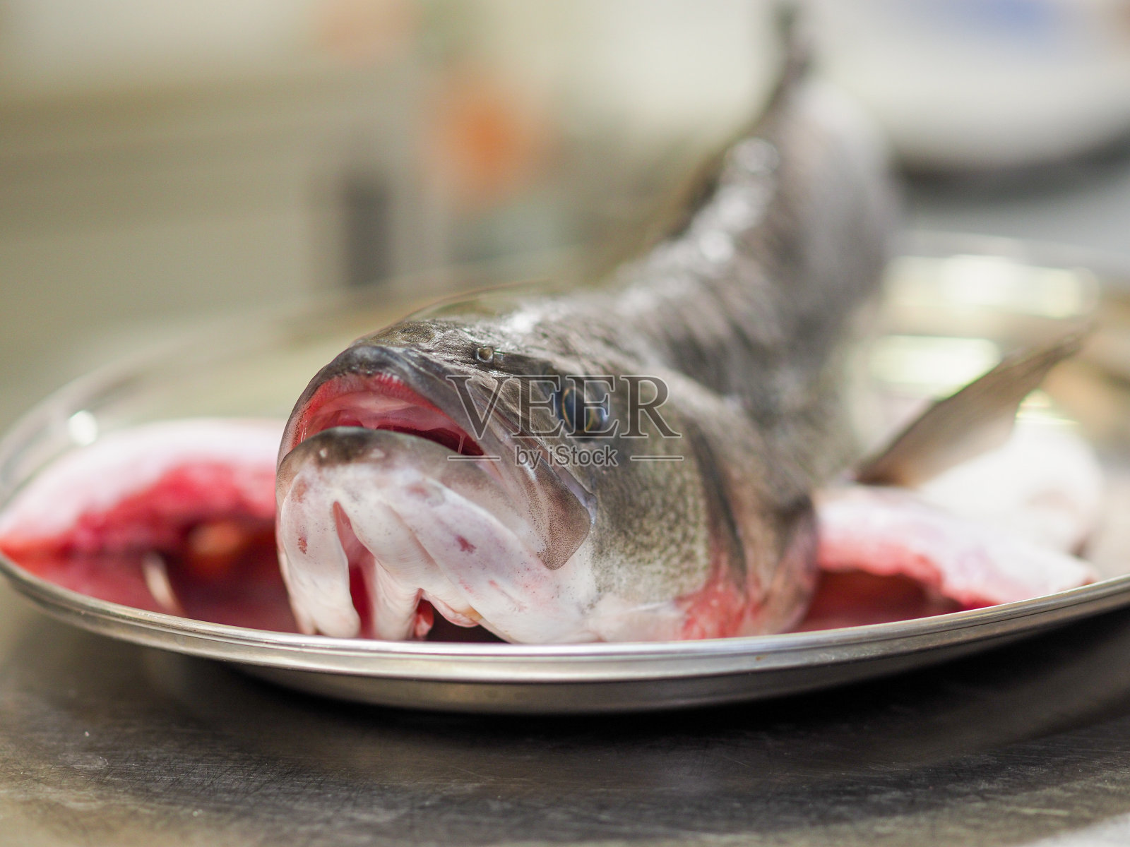 生炸毁尖吻鲈照片摄影图片
