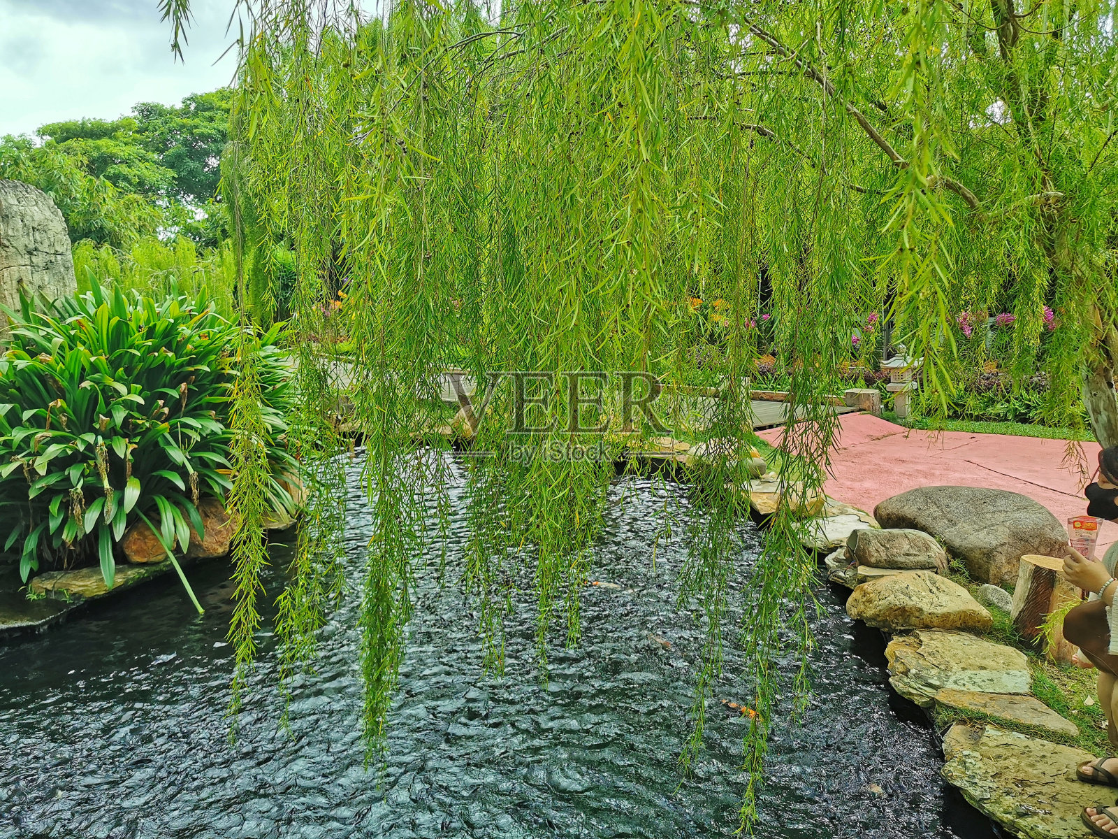 绿色的视图照片摄影图片