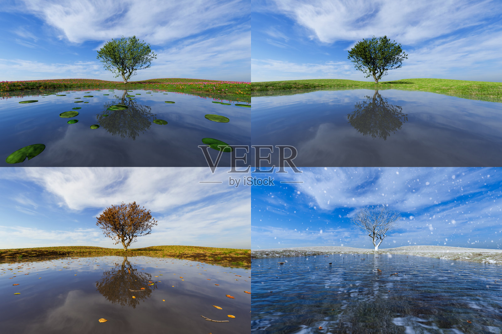 所有的季节在一张照片。冬天，春天，夏天和秋天。照片摄影图片