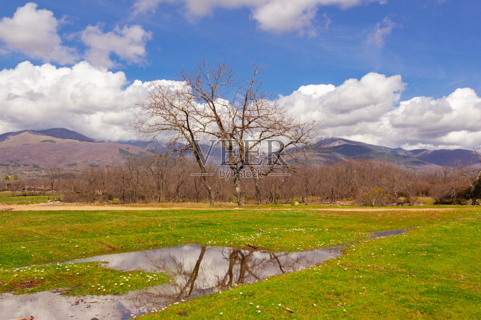 西班牙的格里多斯山的风景，在一个阴天里映照在水坑的水面上。有选择性的重点。旅游业。照片摄影图片