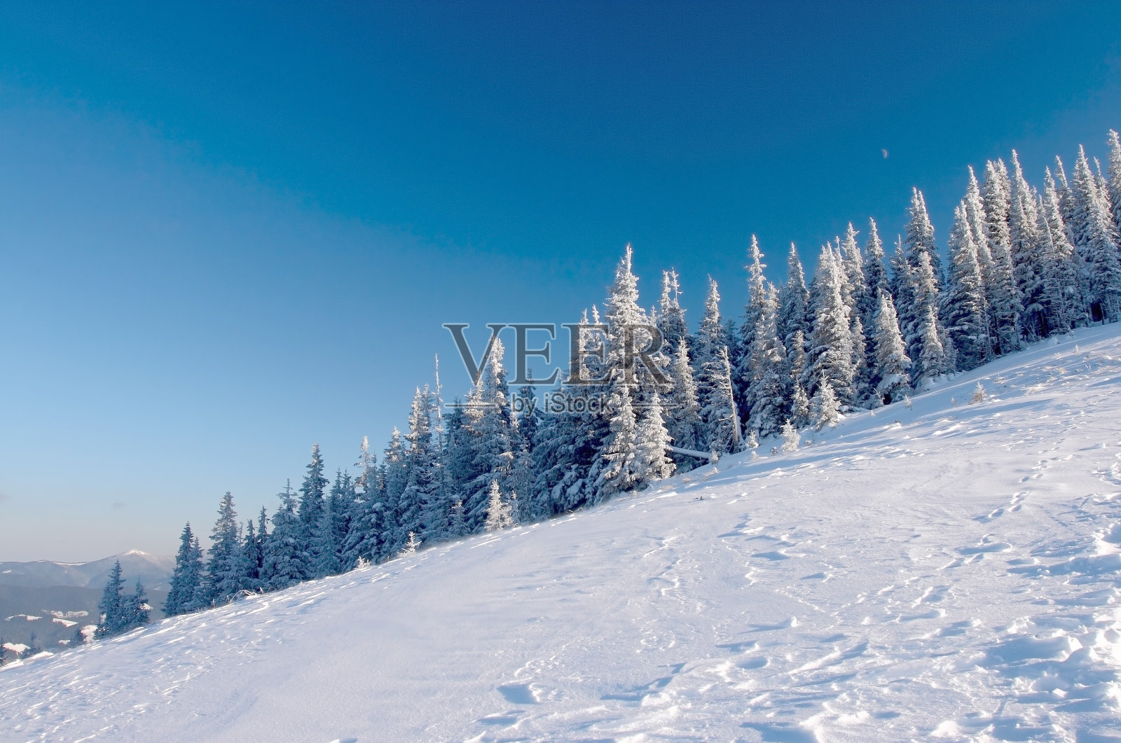 冬天照片摄影图片