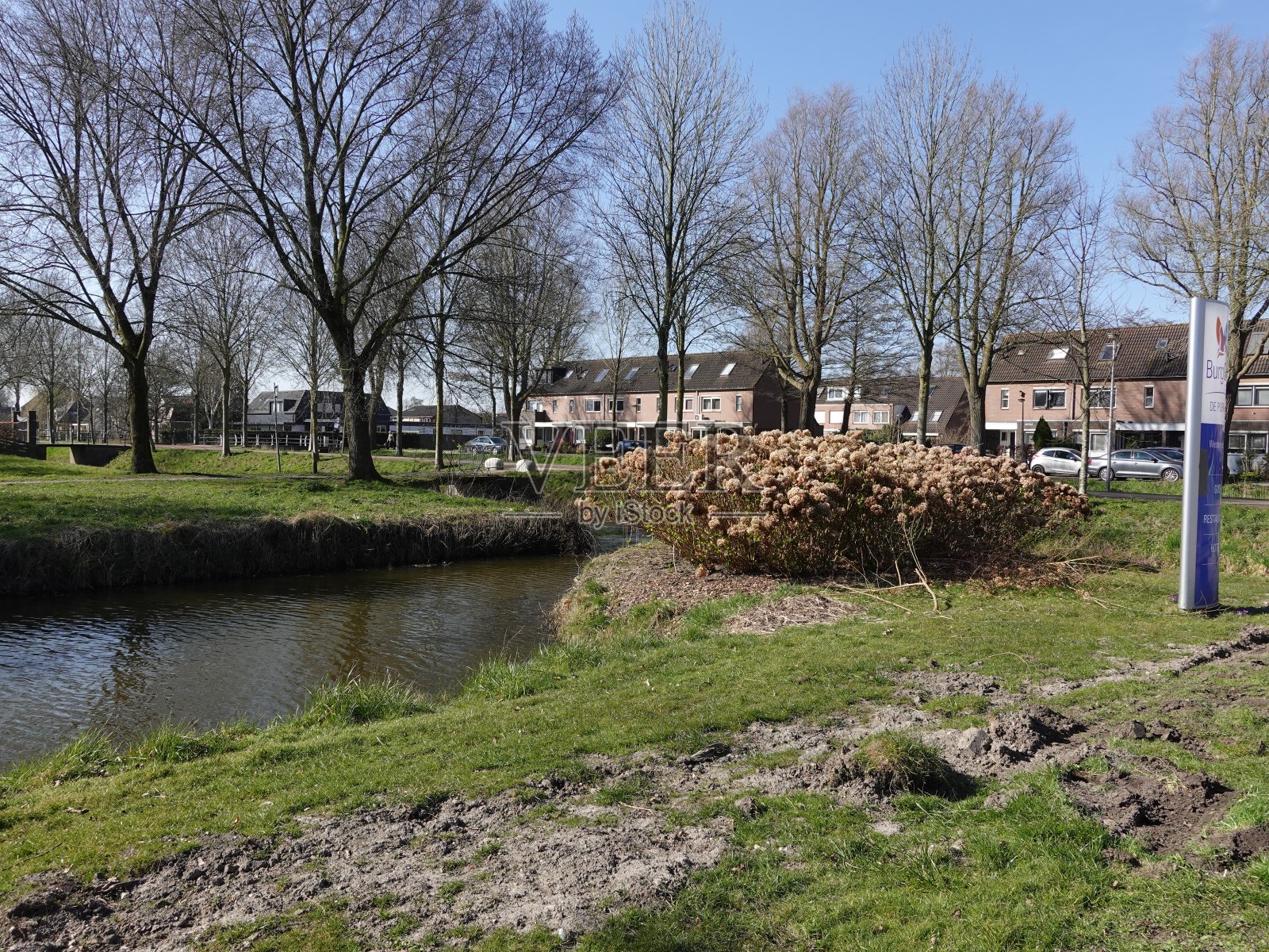 荷兰乡村的自然风光。春天，天空，阳光，树木。照片摄影图片