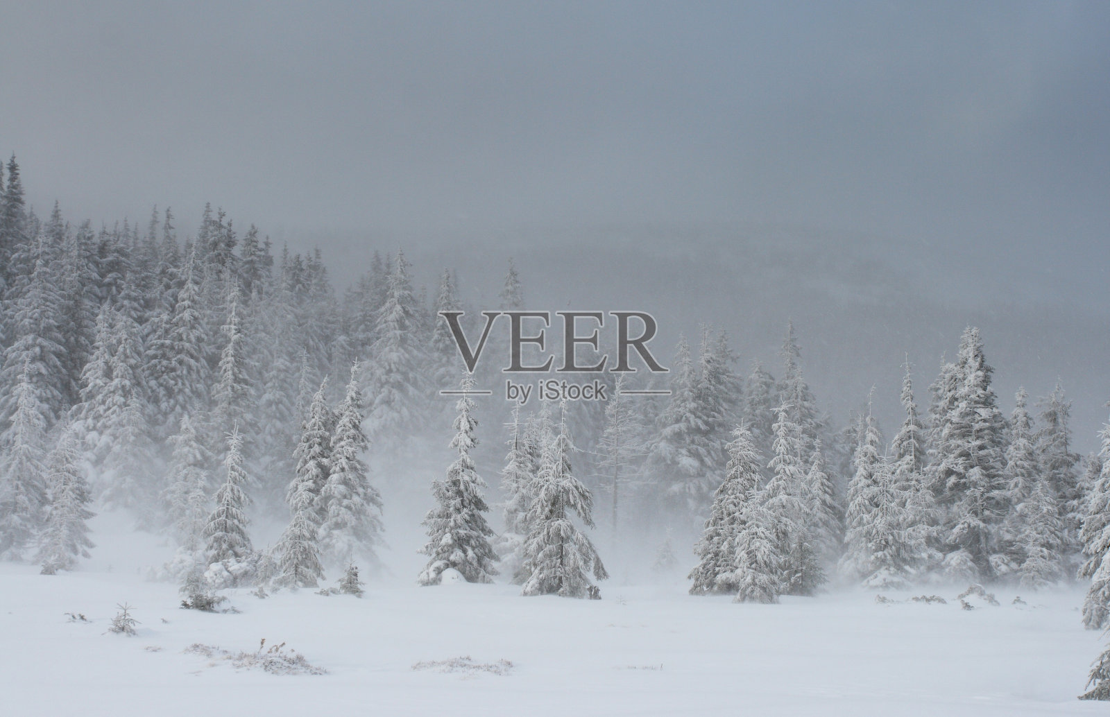 冬天的山照片摄影图片