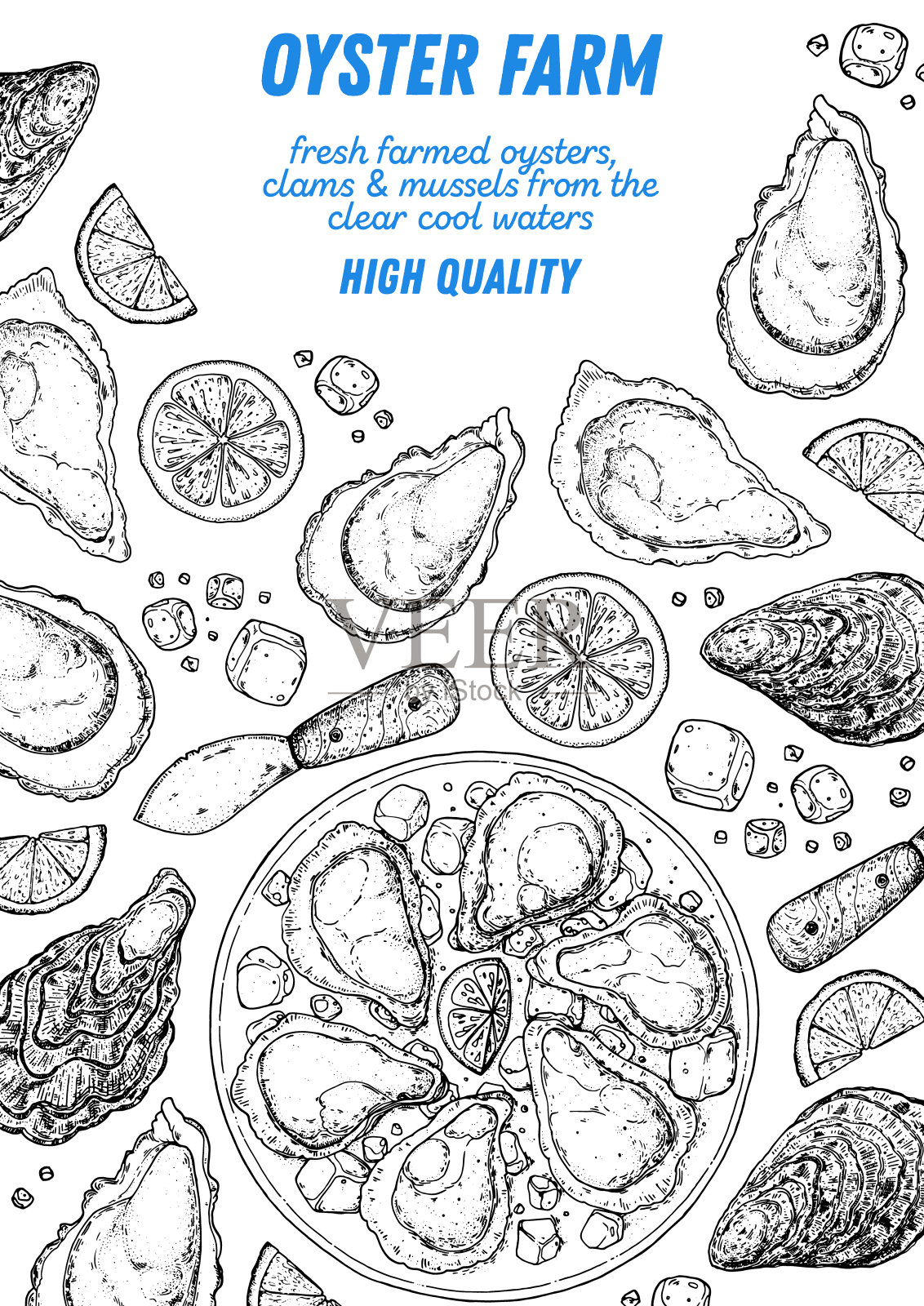 牡蛎和牡蛎配柠檬和冰块。手绘矢量插图。前视图。设计模板。食品菜单。插画图片素材